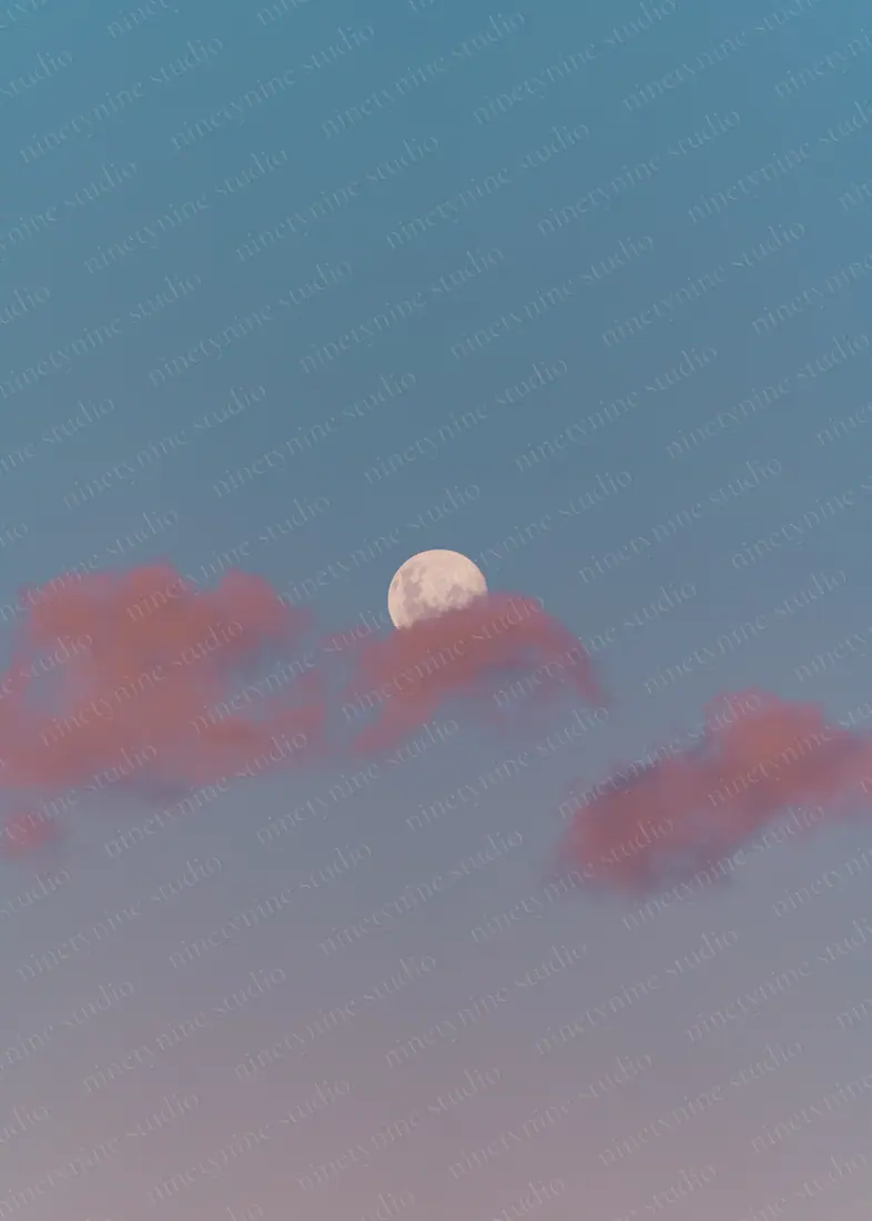 구름 사이의 달 — 호주 시드니 달이 뜬 저녁