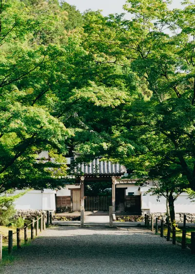 담장 옆의 초록 — 일본 교토 절의 문