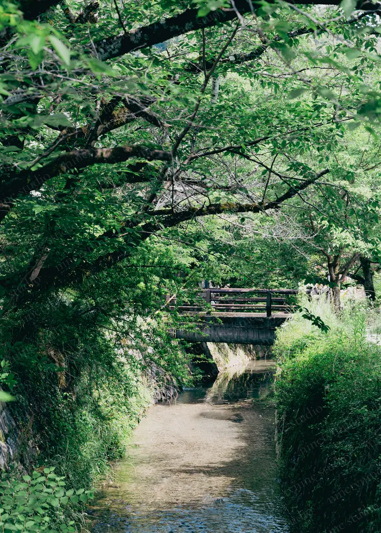 다리가 놓인 개울 — 일본 교토 정원의 집