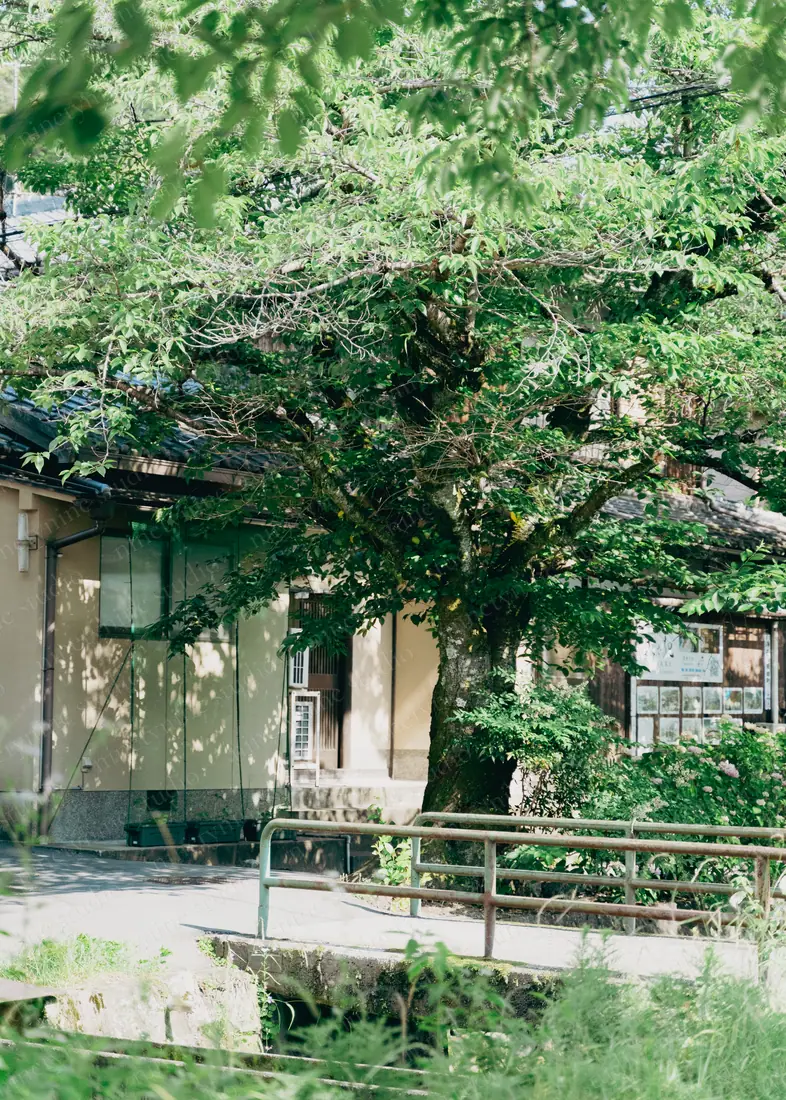 House by the Stream — Wires and Sky — Kyoto, Japan