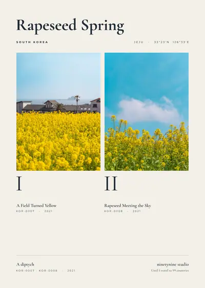 유채와 봄 딥티크 — 한국 제주 유채와 봄