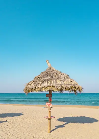 초가 파라솔 — 한국 제주 바다의 색