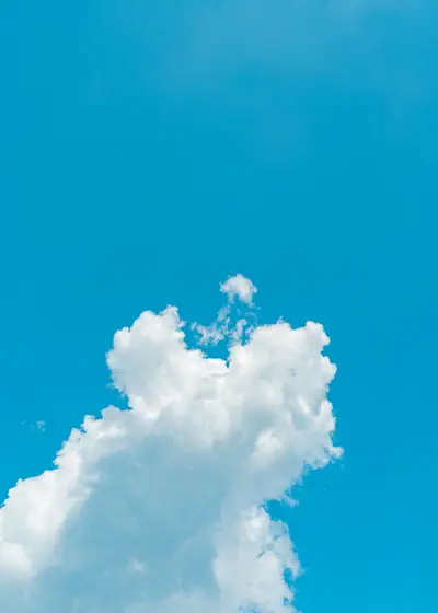 솟아오른 구름 — 한국 제주 흰 구름의 날