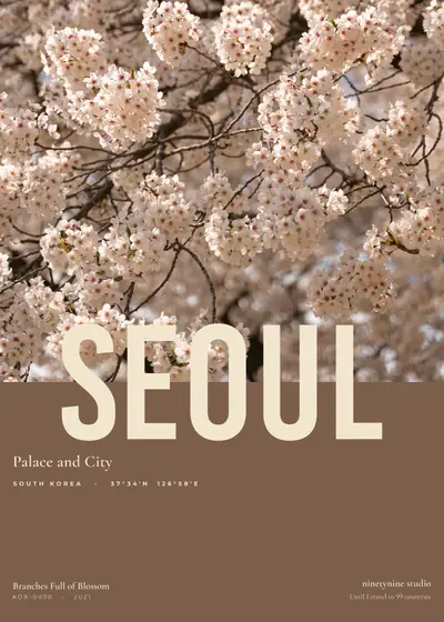 벚꽃이 가득한 가지 — 한국 서울 궁과 도시