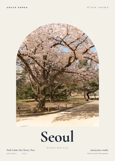벚나무 아래 길 — 한국 서울 궁과 도시