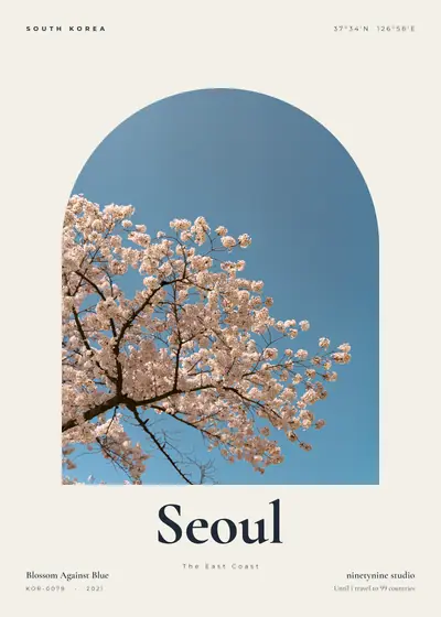 벚꽃과 파란 하늘 — 한국 강원의 바다